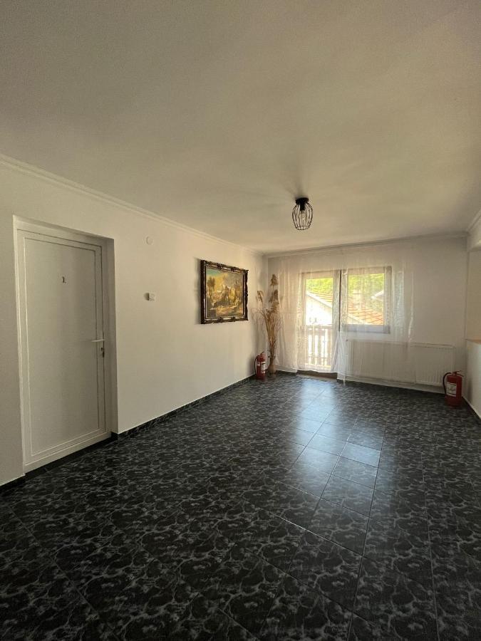 Отель Casa Dina Бэиле-Еркулане Экстерьер фото