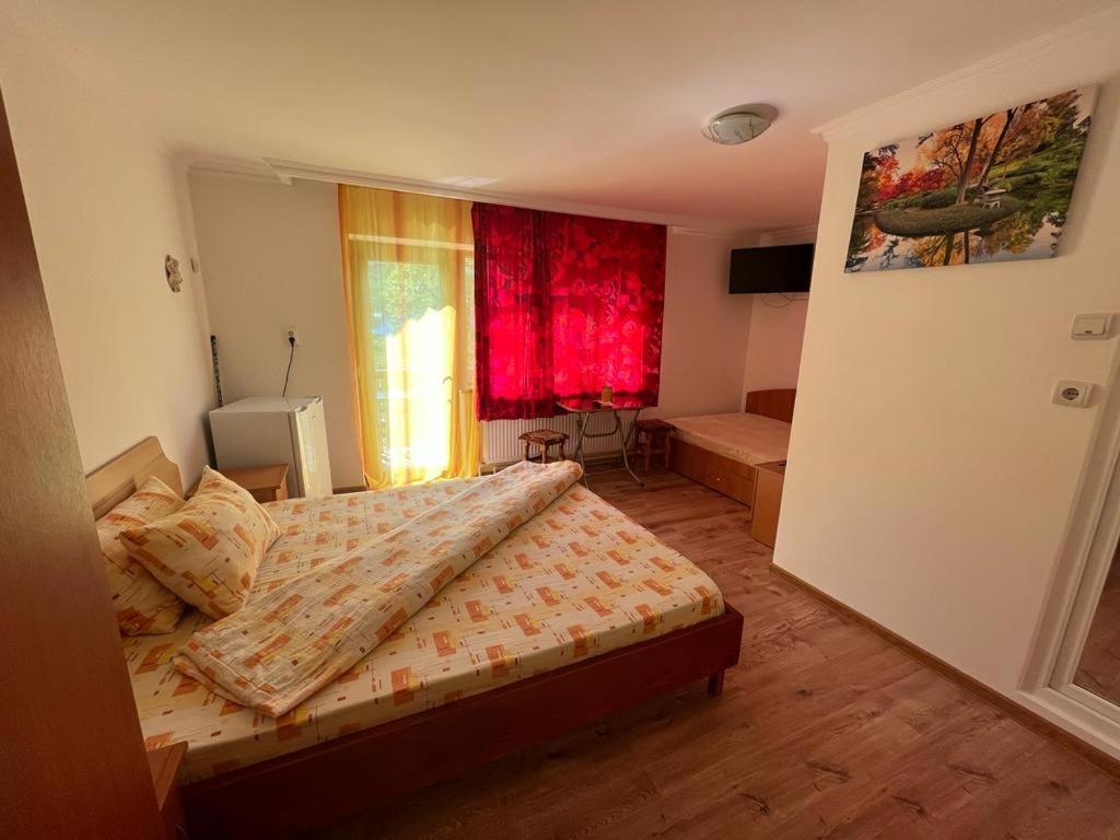 Отель Casa Dina Бэиле-Еркулане Экстерьер фото